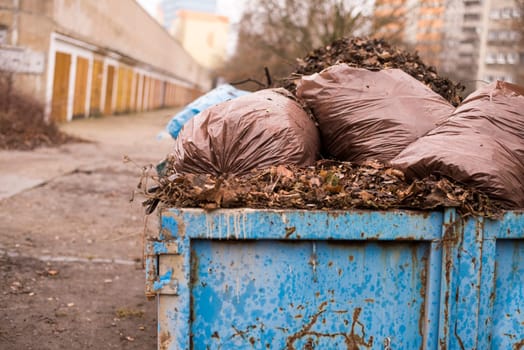 autumn leaves in a garbage can