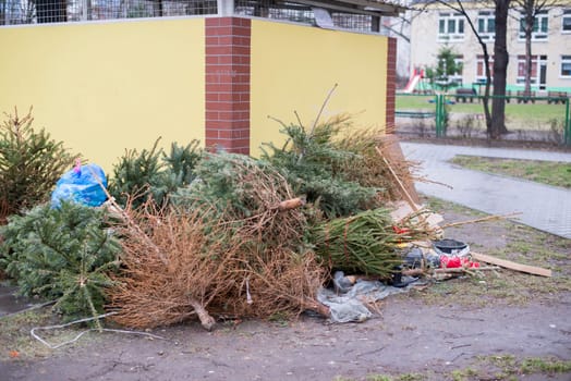 discarded christmas trees,garbage after christmas