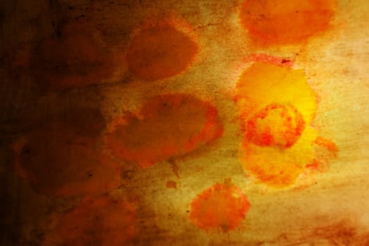 Coronavirus covid-19 virus under the microscope
