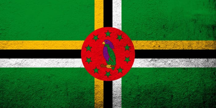 the Commonwealth of Dominica National flag. Grunge background