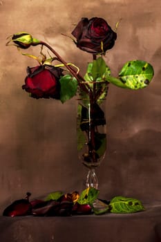 Still life with a bouquet of dried roses inside a glass, petals and fallen leaves. Light painting lighting.