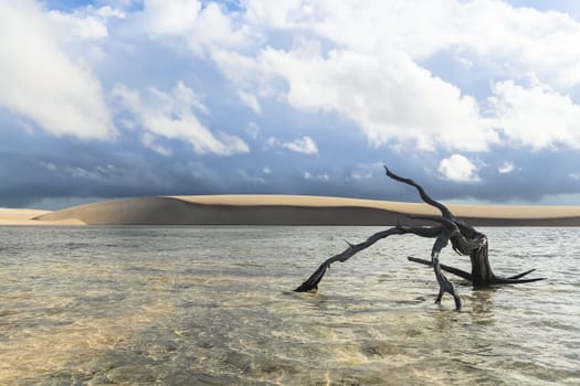 Lencois Maranhenses, National Park, Maranhao, Brazil