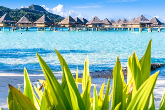 Bora Bora Island, French Polynesia.