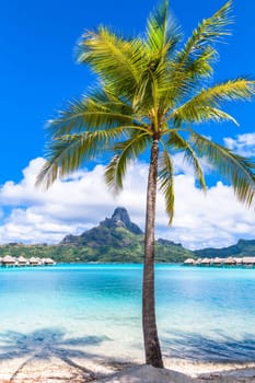Bora Bora Island, French Polynesia.