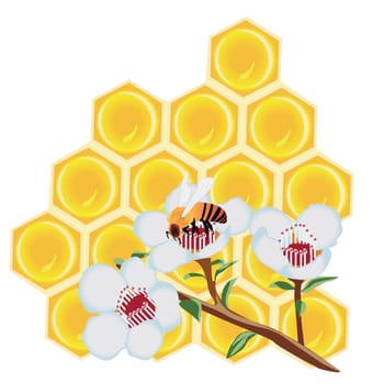 A honeycomb and a bee on a flower vector illustration on a white background isolated