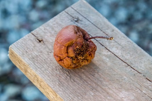 Rotten apple on the bench. Defeat apples. Spoiled crop.