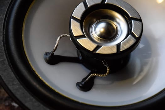 Combined car speaker, tweeter integrated in a large speaker.