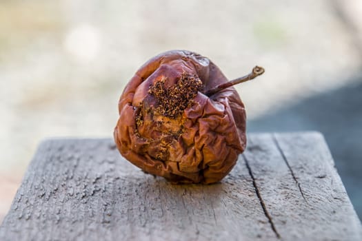 Rotten apple on the bench. Defeat apples. Spoiled crop.