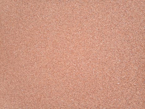 The background is the texture of the sea sand on the beach. Sand shell.