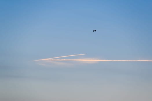 Contrail from an airplane on a blue sky against a sunset.