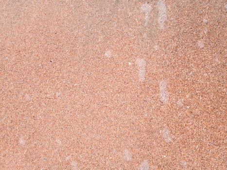 The background is the texture of the sea sand on the beach. Sand shell.