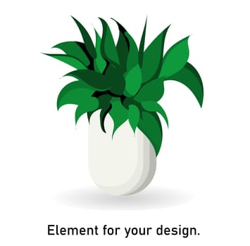 houseplant in a white flower pot isolated on a white background. Vector illustration. Interior items. Flower