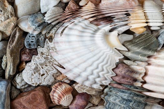 Detail of the water ripples above pebbles and seashells - digitally altered