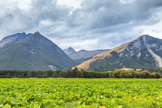 Queenstown in New Zealand. The city of adventure and nature.