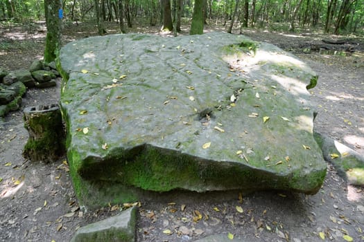 Dolmen in Shapsug. Forest in the city near the village of Shapsugskaya, the sights are dolmens and ruins of ancient civilization.