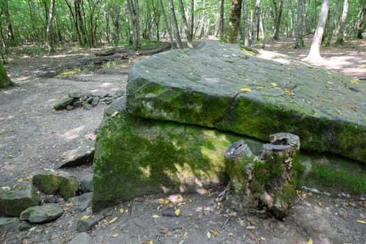 Dolmen in Shapsug. Forest in the city near the village of Shapsugskaya, the sights are dolmens and ruins of ancient civilization.