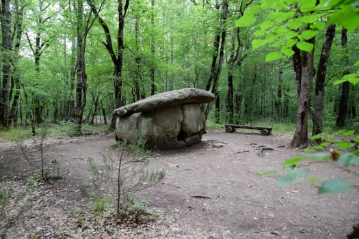 Dolmen in Shapsug. Forest in the city near the village of Shapsugskaya, the sights are dolmens and ruins of ancient civilization.