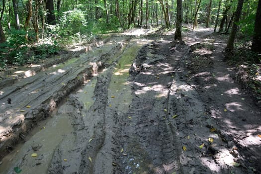 Dirty blurred forest road with a deep rut.