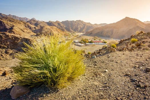 Scenic overlook of Al Hajar mountains in the emirate of Fujeirah, UAE and a village in a valley