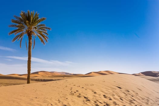 Merzouga in the Sahara Desert in Morocco