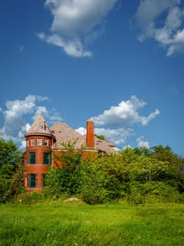 An abandoned house in the city of Detroit is taken over by plants and trees