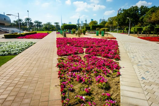 Alleys and flowe beds in Zabeel Park in Dubai with downtown skyline in the backdrop