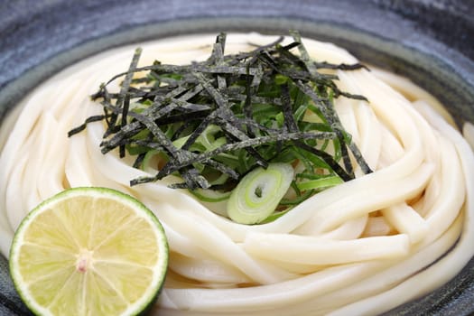 Close up of Japanese bukkake udon noodles in a bowl