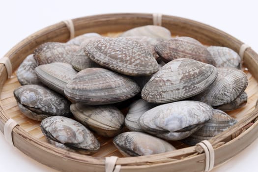 Japanese asari clams in a bamboo basket on white background