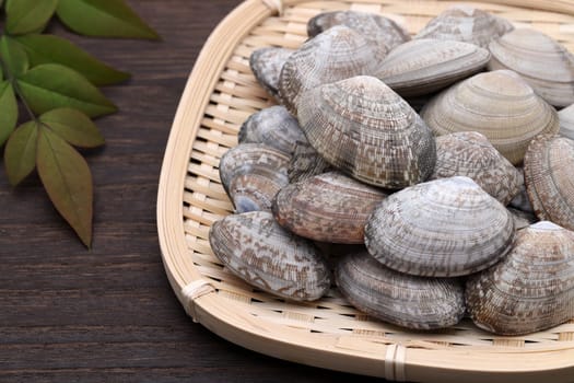 Japanese asari clams in a bamboo basket on dark wooden table background