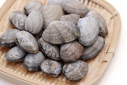Japanese asari clams in a bamboo basket on white background