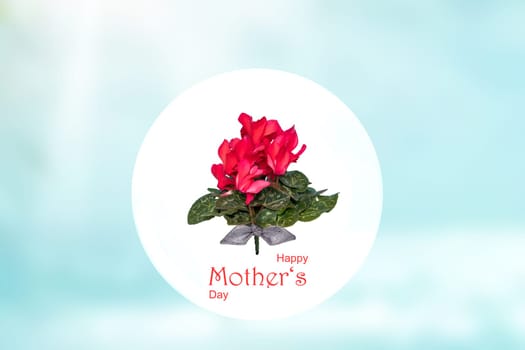 Mothers day greeting card. Decorative composition of fresh blooming cyclamen flowers in a white circle on abstract light blue cloudy sky.