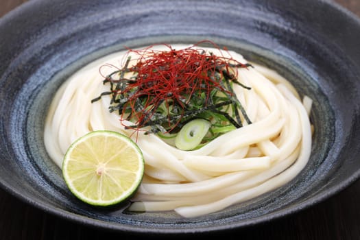 Close up of Japanese bukkake udon noodles in a bowl