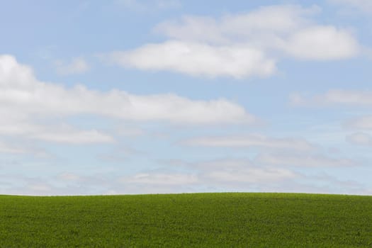 Horizon of a green meadow with cloudy sky