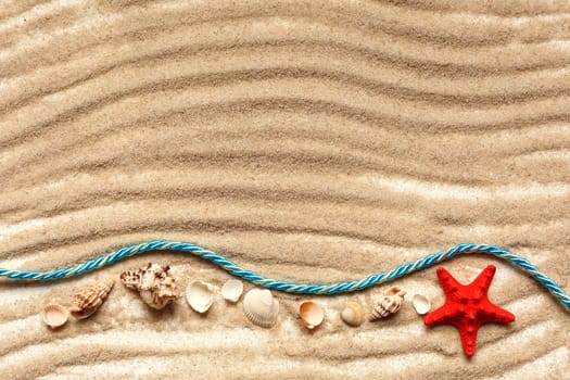Beautiful seashells on sand and warm sun light with copy space . Summer holidays travel concept. Space for text