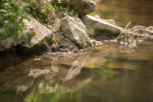Large stones lie on the bank of a stream and are reflected in the water