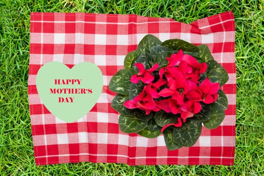 Mothers day greeting card. Decorative composition of red checkered napkin with fresh blooming cyclamen flowers and a green heart with inscription happy mothers day on it flat lay on grass.