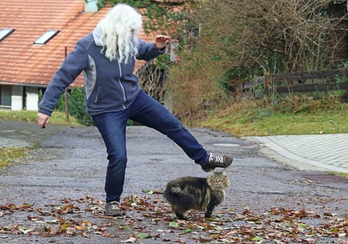 Violence against animals. A woman wants to step on the street after a cat