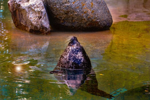 In the water ring in front of the stones you can see the reflection.