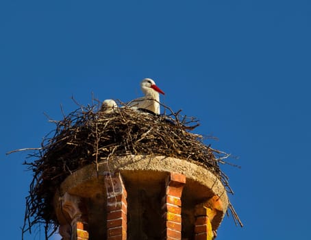 The family has moved back into their regular place from last year.