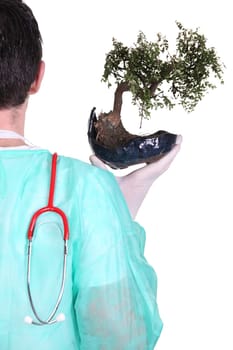 Surgeon with a bonsai tree