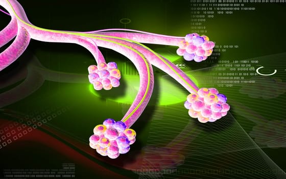 Digital illustration of alveoli in colour background