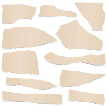 collection of brown colored scraps of papers with shadows