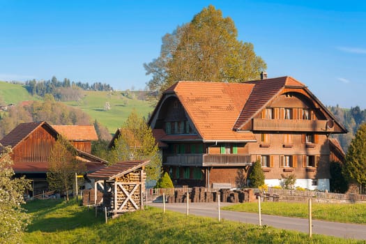 Historic Simmental Farm