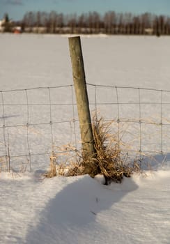 Wooden Pole with Metal Fence