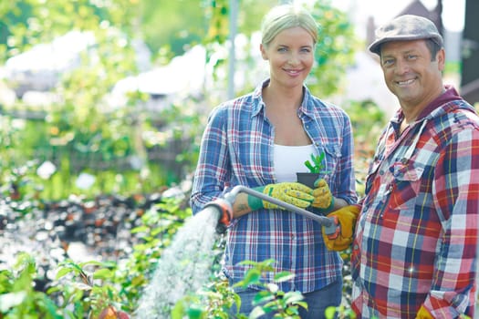 Portrait for two gardeners watering