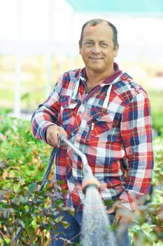 Portrait of mature man watering in the garden