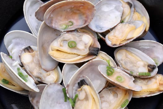Japanese cuisine, Sakamushi of asari clams, Close up