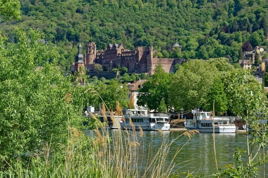 Heidelberger castele