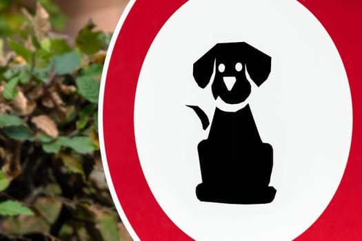 No pets allowed in the park sign. Dog walking sign is prohibited in a public park.