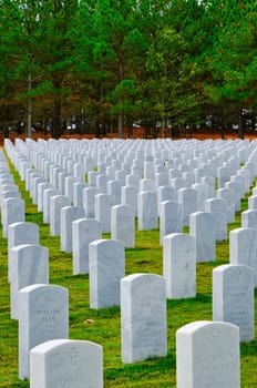 CARTERSVILLE, GEORGIA - October 9, 2019: Georgia National Cemetery encompasses 775 acres and intends servicing the interment needs of veterans and their families for the next fifty years.